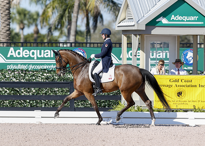 Diane Creech and Diana C in the mare's first CDI competition