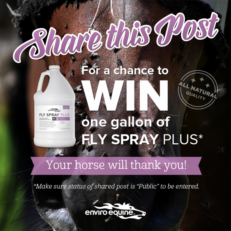 Enviro Equine Fly Spray Contest