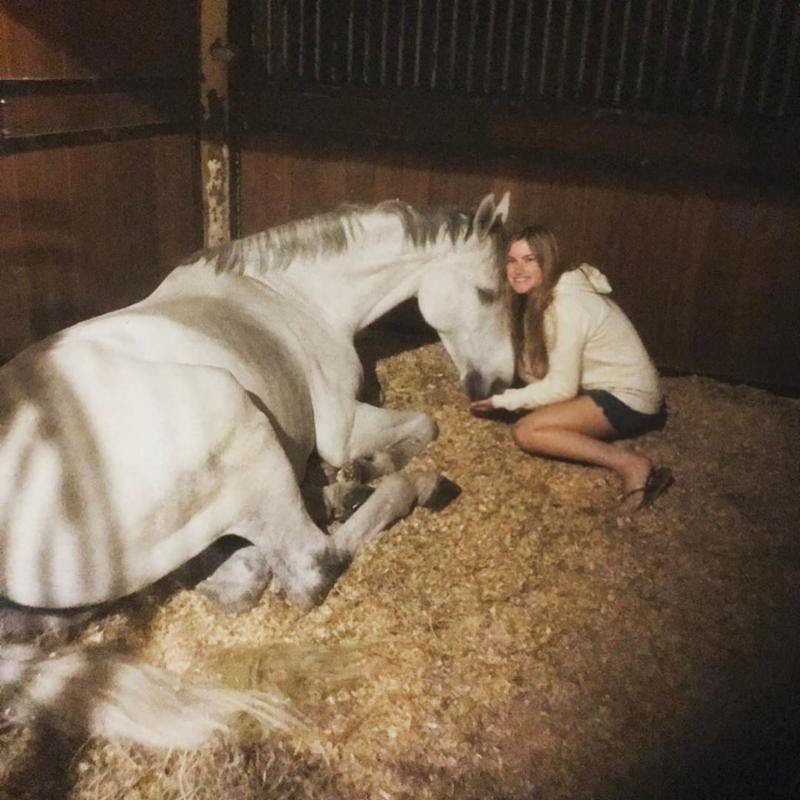 Hailey Link with Caracas after surgery. Photo Courtesy of Rood & Riddle Equine Hospital
