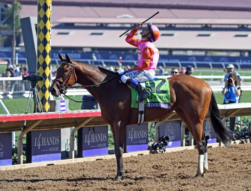 Mike Smith, aboard Caledonia Road, celebrates after winning the 14 Hands Winery Breeders' Cup.Photo: Bob Mayberger/Eclipse Sportswire/Breeders Cup