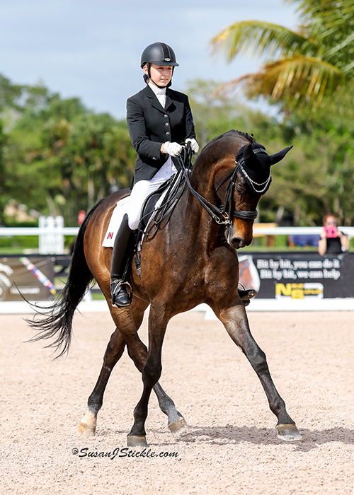 Vanessa Creech and Rob Roy at the 2015 Adequan Global Dressage Festival