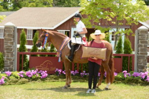 Olivia Markmann and Gynhafan Red Kestral win Grand Regular Pony Hunter Champion