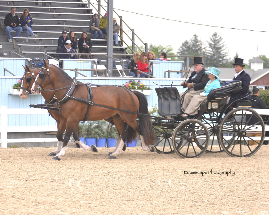Richard O’Donnell (Photo: Equiscape Photography)