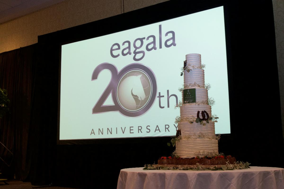 Eagala Celebrated 20th Anniversary with RecordBreaking Attendance at