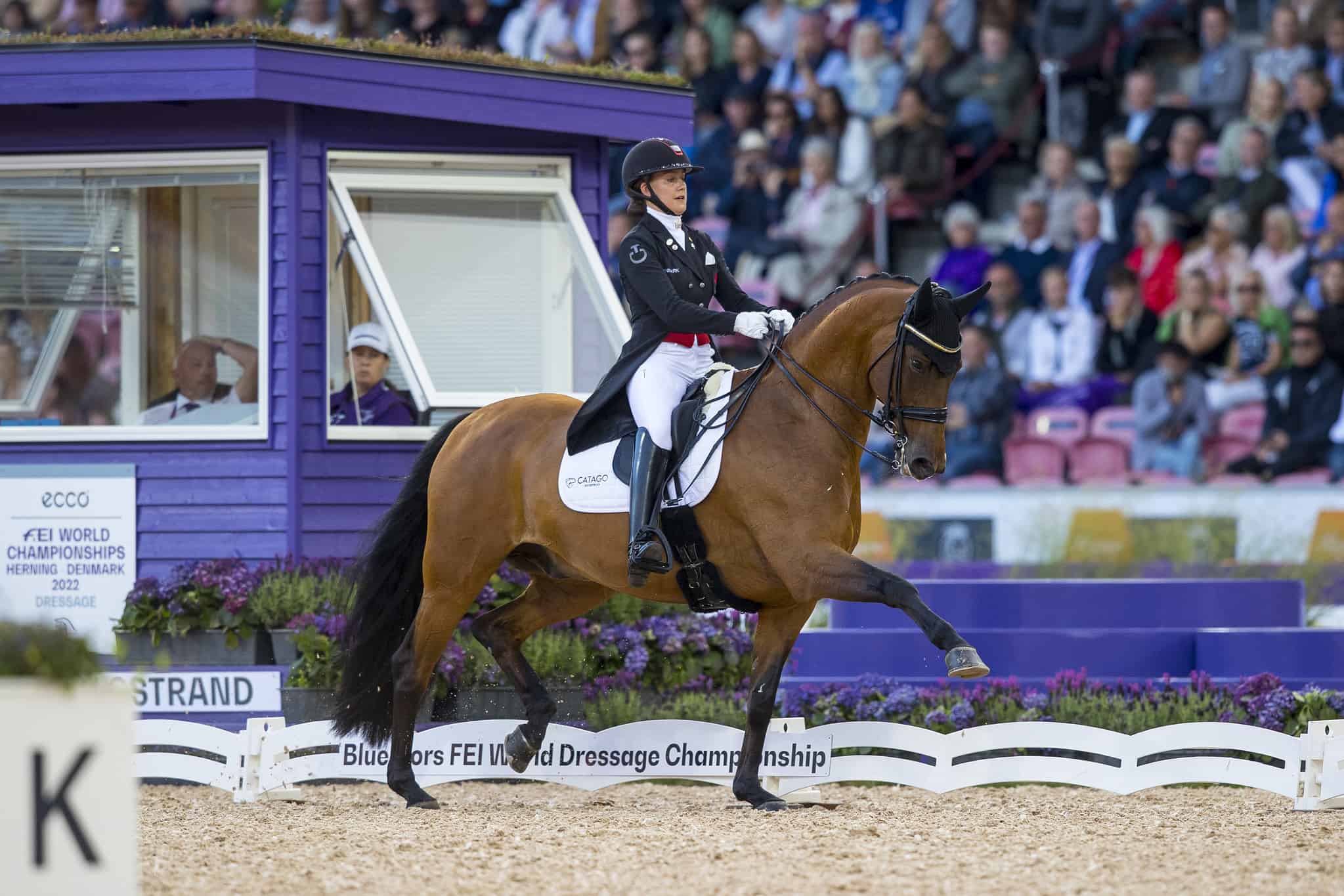 Catherine Dufour and Vamos Amigos. Photo by FEI/Leanjo de Koster.