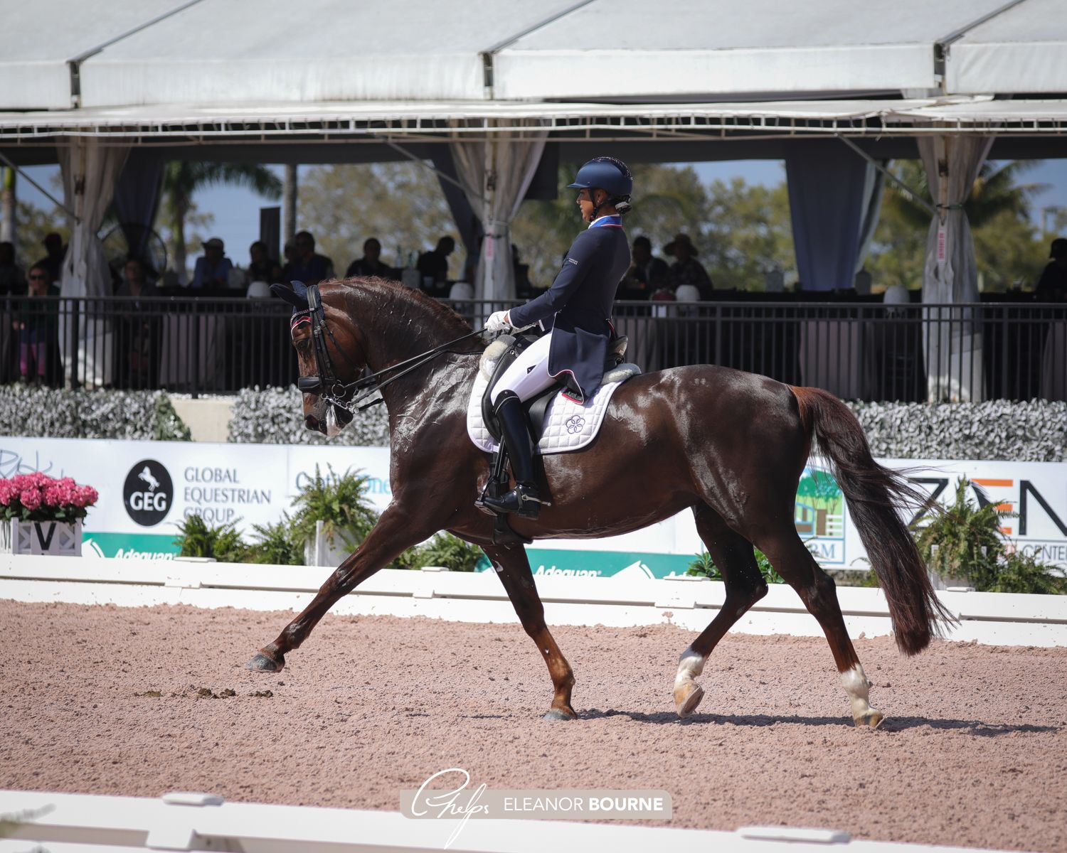 Anna Buffini and FRH Davinia La Douce