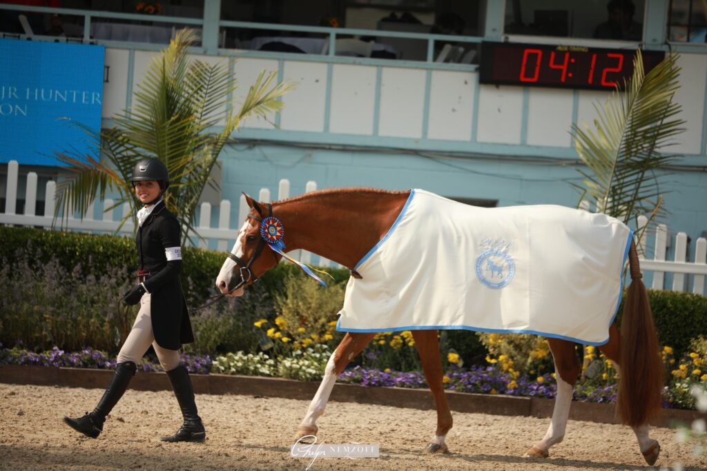 Devon Daily May 25, 2024 Grand Junior Hunter Championship Devon