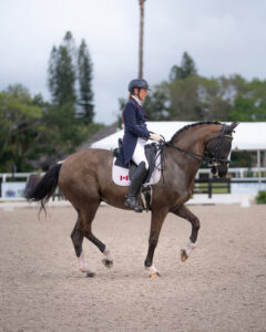 Leatherdale Farms Dublin L & Diane Creech